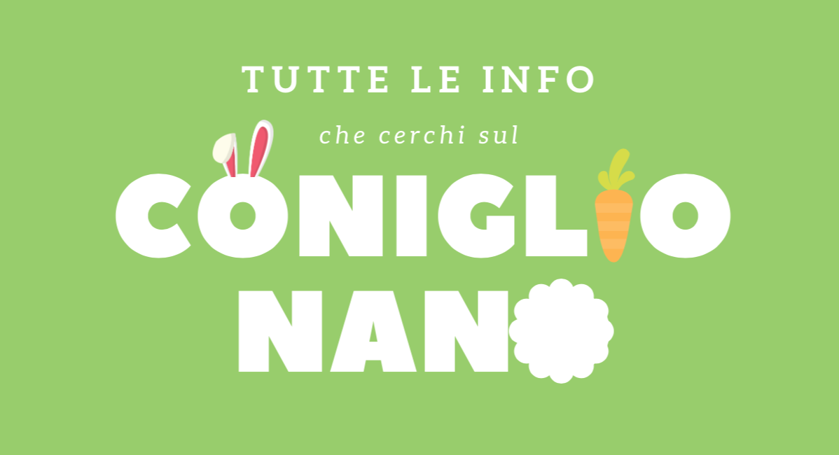 Tutto le info che cerchi sul coniglio nano
